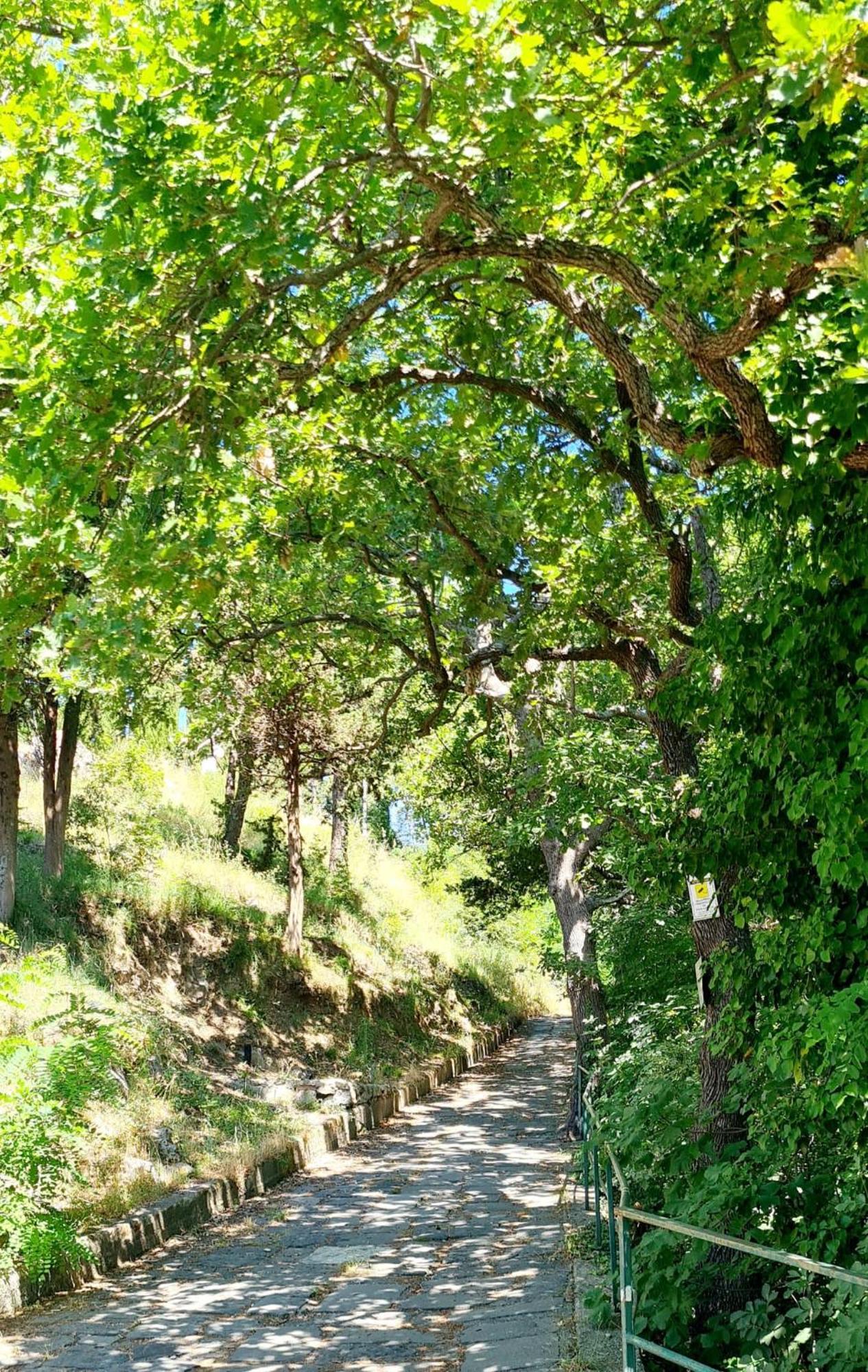 Villa Blu Costiera Amalfi Zewnętrze zdjęcie